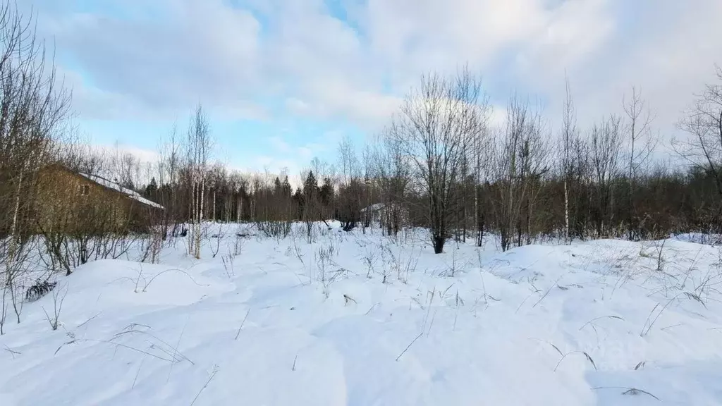 Участок в Московская область, Пушкинский городской округ, д. Могильцы, ... - Фото 0