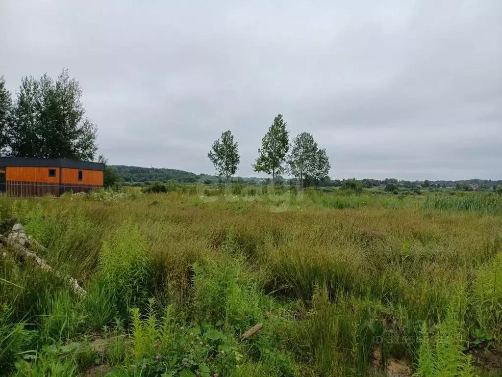 Участок в Псковская область, Псковский район, Тямшанская волость, д. ... - Фото 1