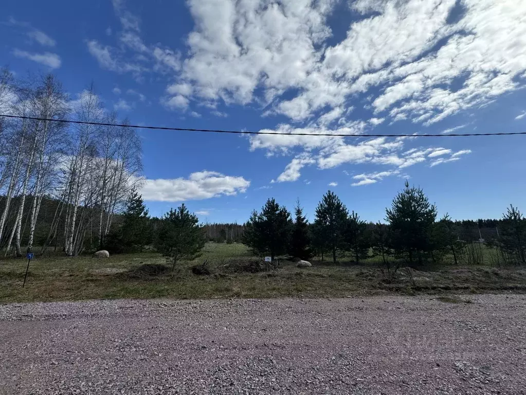 Участок в Ленинградская область, Выборгский район, Приморское ... - Фото 2