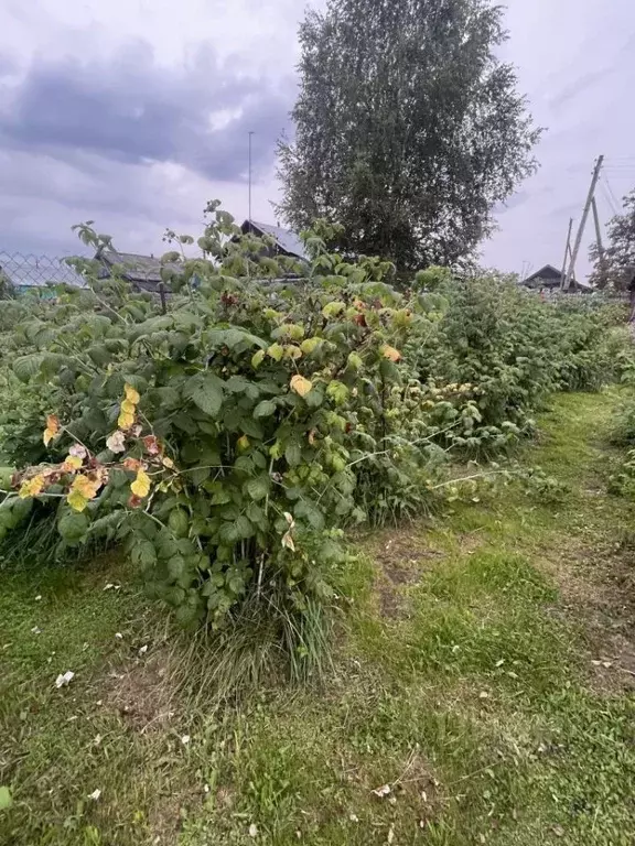 Участок в Нижегородская область, Богородский муниципальный округ, д. ... - Фото 2