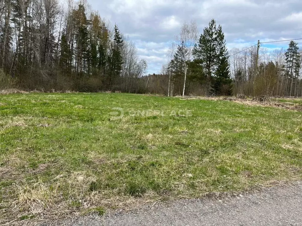 Участок в Ленинградская область, Приозерский район, Мельниковское ... - Фото 1
