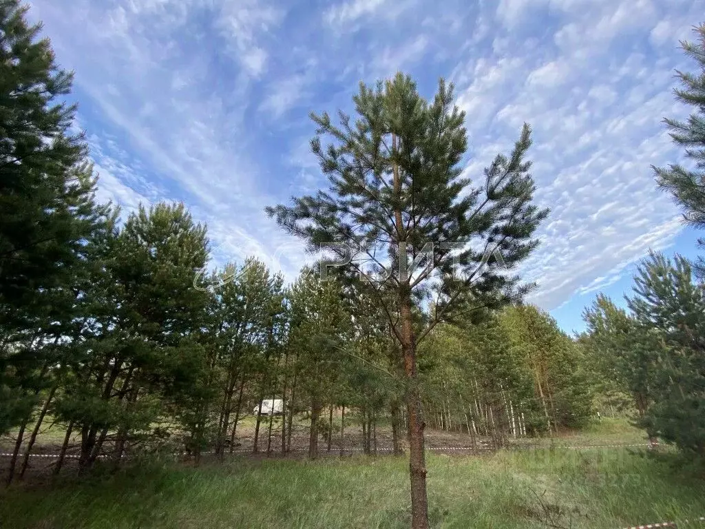 Участок в Тюменская область, Тюменский муниципальный округ, д. ... - Фото 1