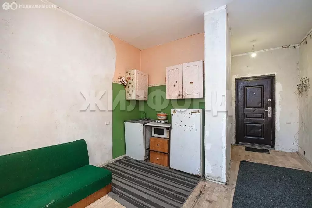 Квартира-студия: Новосибирск, улица Виктора Уса, 11 (19.4 м) - Фото 2