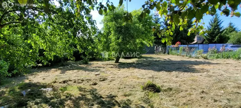 Участок в Калининград, СНТ ЦБЗ-1, Южная улица, 332 (6 м) - Фото 2