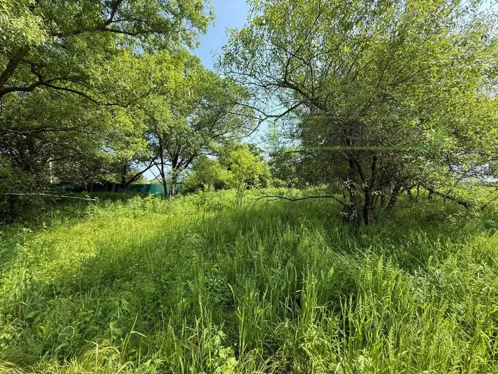 Участок в Приморский край, Артемовский городской округ, с. Кролевцы ... - Фото 1
