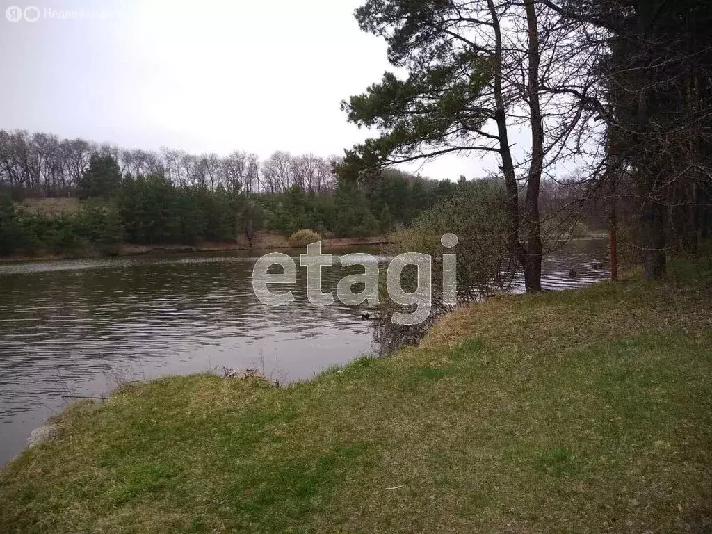 Участок в Белгородский район, Головинское сельское поселение, село ... - Фото 1