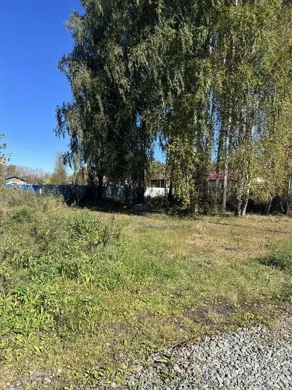 Участок в Челябинская область, Сосновский муниципальный округ, Урал ... - Фото 1