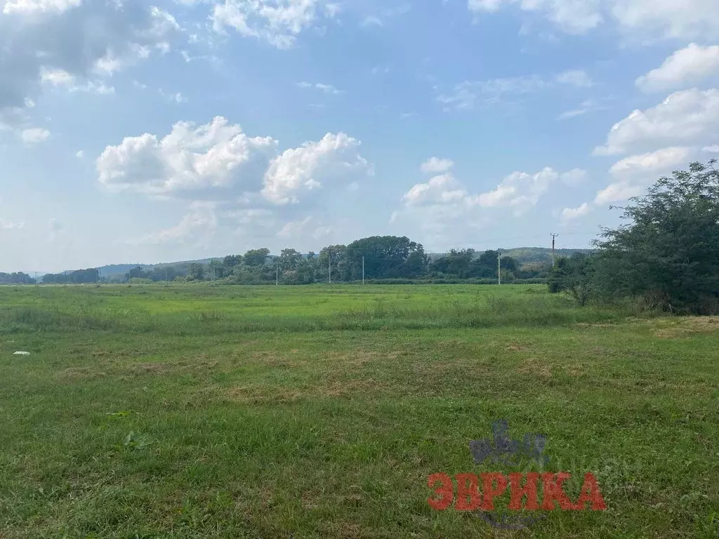 Участок в Краснодарский край, Крымский район А-146, 114-й км (715.0 ... - Фото 2