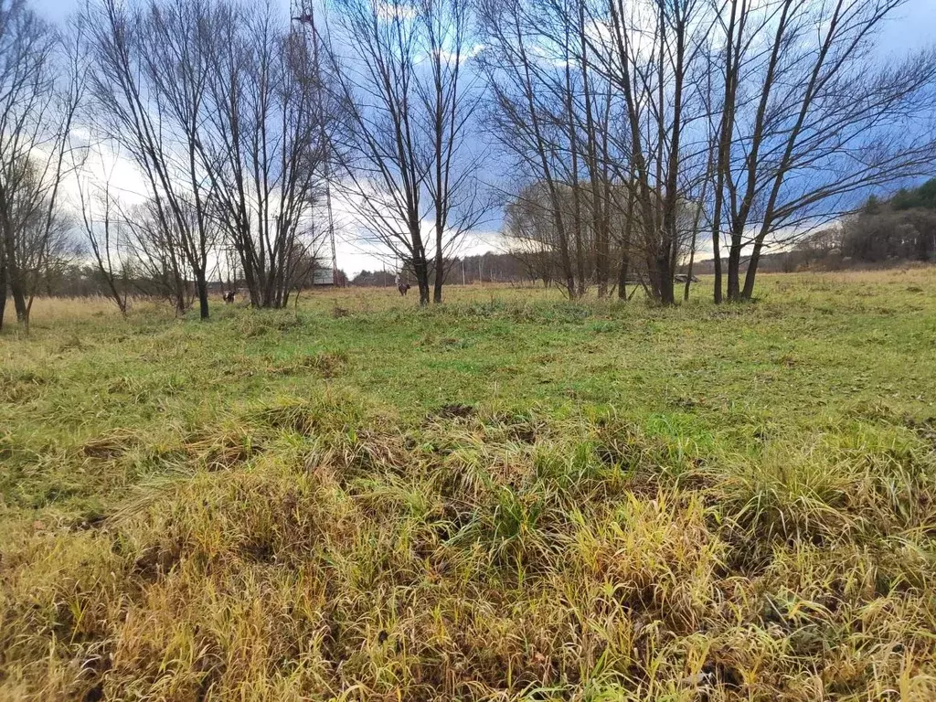 Участок в Московская область, Лотошино муниципальный округ, д. Палкино ... - Фото 1