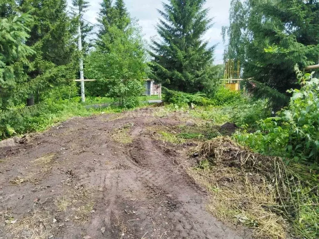 Участок в Новосибирская область, Новосибирский район, Барышевский ... - Фото 0