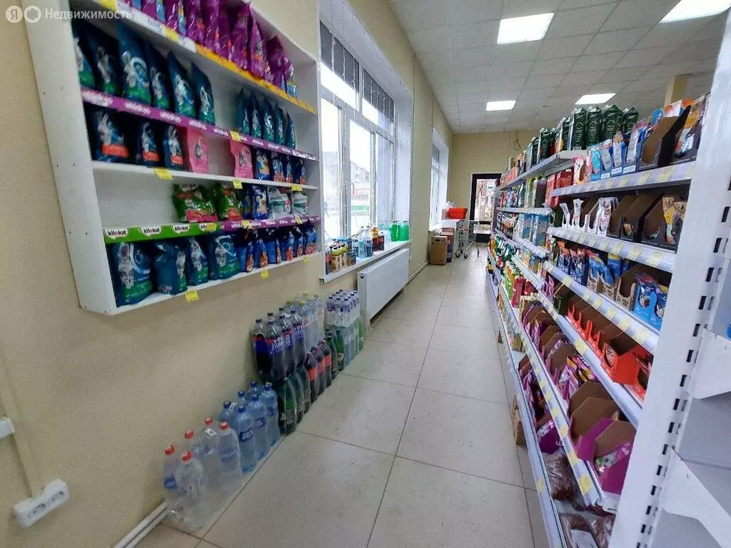 Офис (151.4 м) - Фото 1