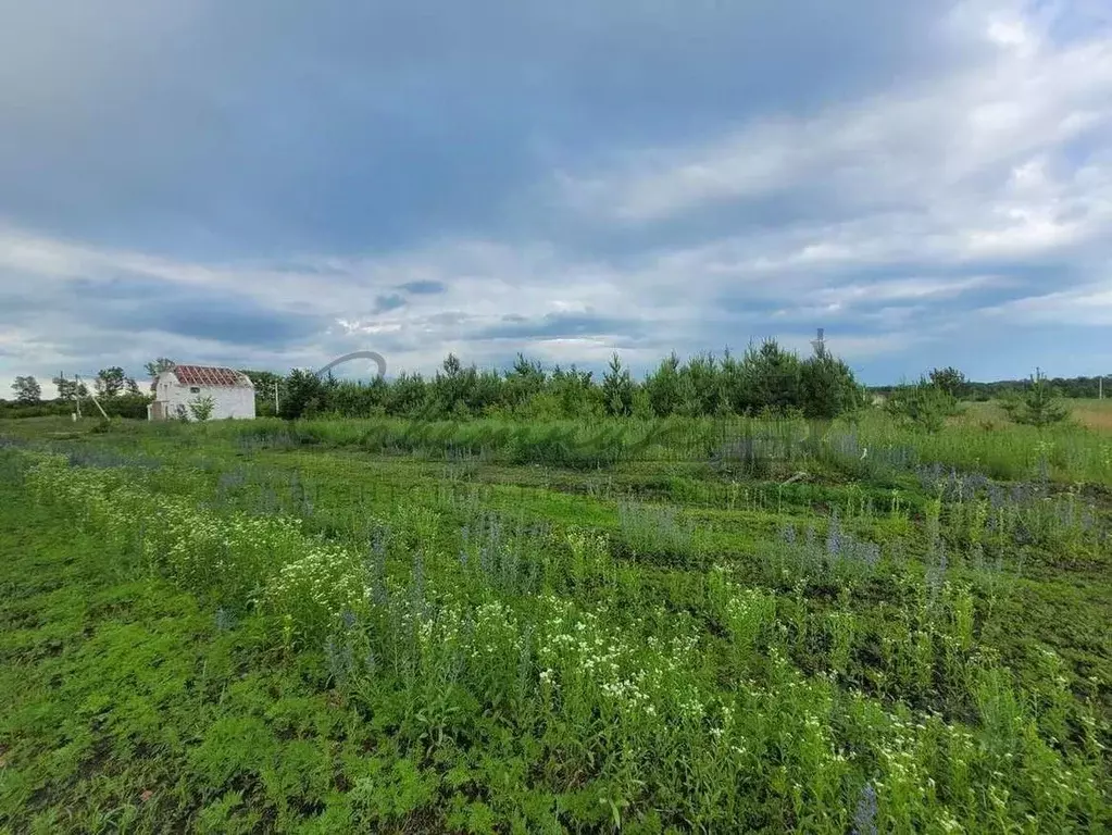 Участок в Белгородская область, Старый Оскол Ладушки мкр,  (15.0 сот.) - Фото 2