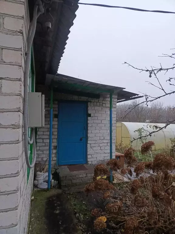 Дом в Брянская область, Брянск Рассвет садовое общество,  (29 м) - Фото 2
