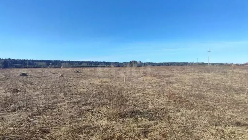 Участок в Вологодская область, Великоустюгский муниципальный округ, д. ... - Фото 1