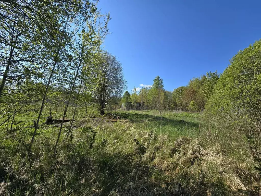 Участок в Смоленская область, Смоленский муниципальный округ, д. ... - Фото 2