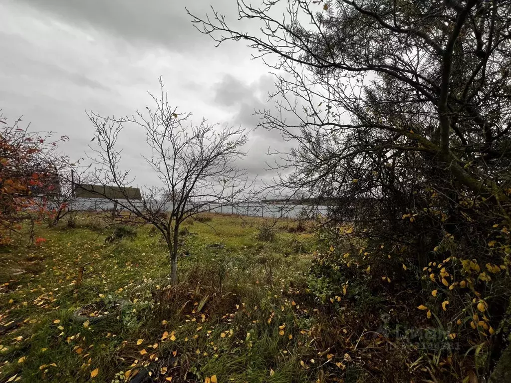 Участок в Рязанская область, Рязанский муниципальный округ, с. ... - Фото 1