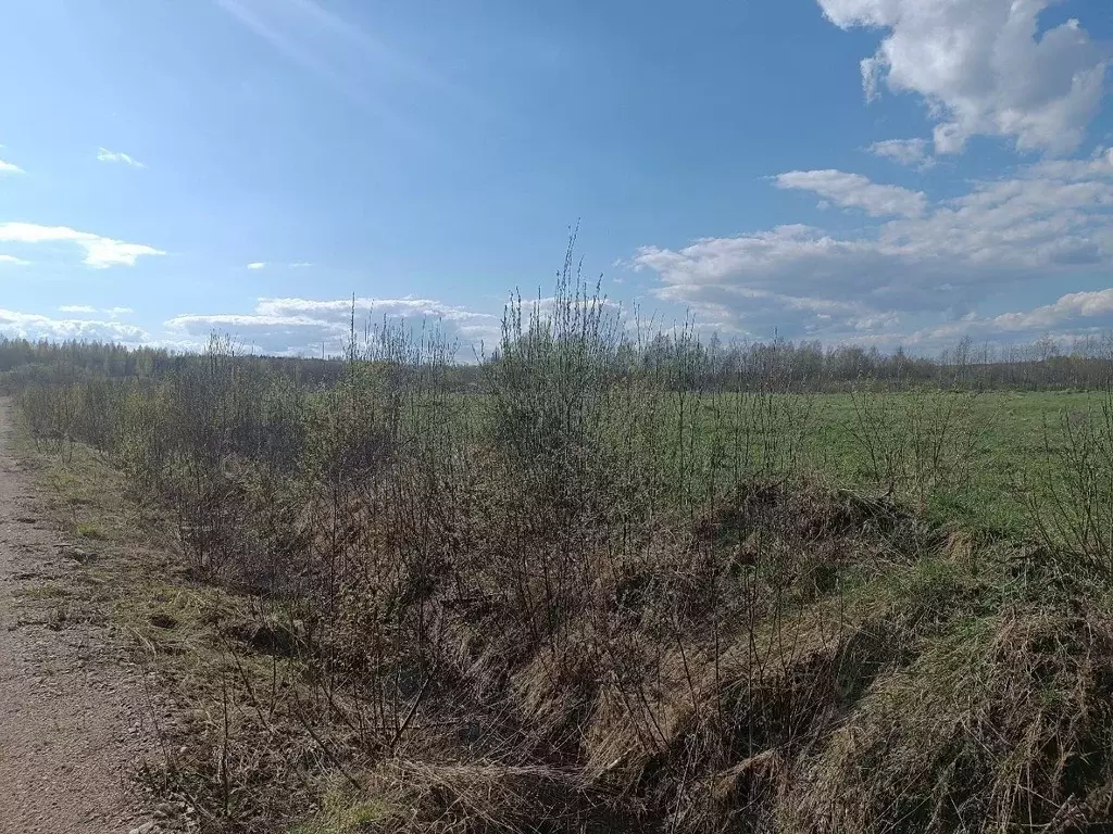 Участок в Новгородская область, Новгородский район, Бронницкое с/пос, ... - Фото 1