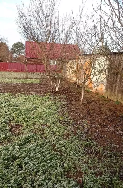 Участок в Брянская область, Почепский район, Речицкое с/пос, пос. ... - Фото 2