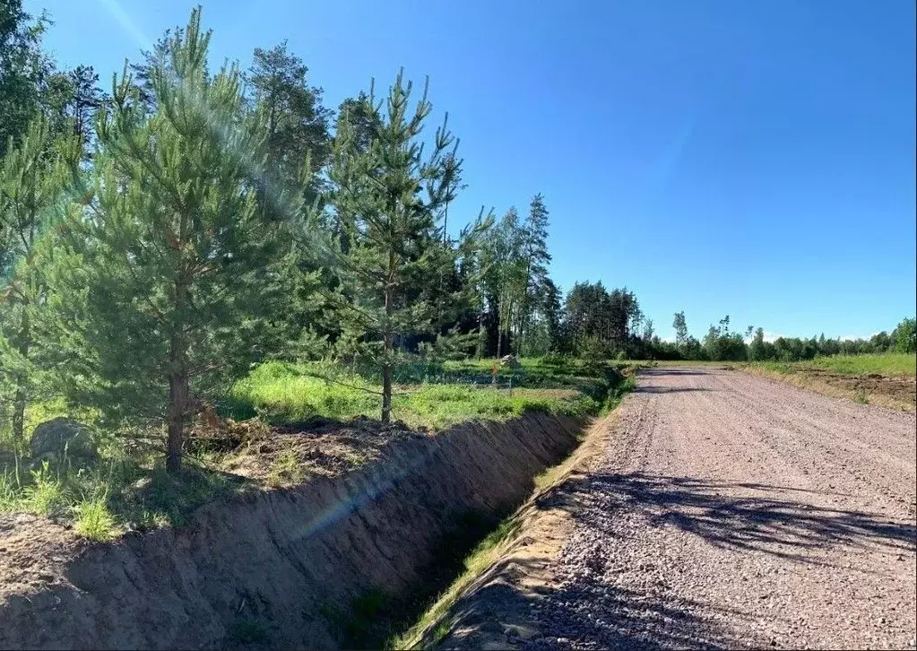 Участок в Ленинградская область, Приозерский район, Сосновское с/пос, ... - Фото 1