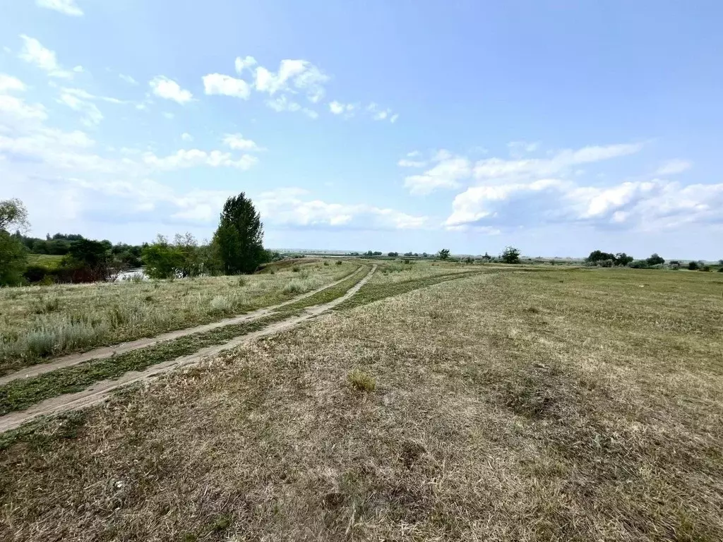 Участок в Саратовская область, Энгельсский район, Красноярское ... - Фото 2