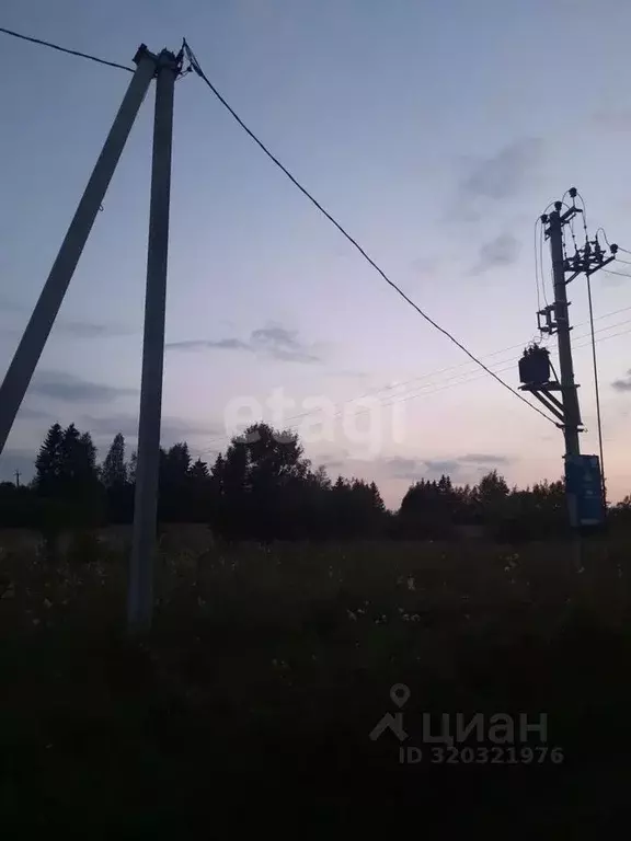 Дом в Псковская область, Пыталовский муниципальный округ, д. Магиново  ... - Фото 1