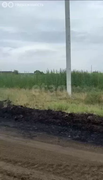 Участок в Белый Яр, Придорожная улица (12 м) - Фото 1