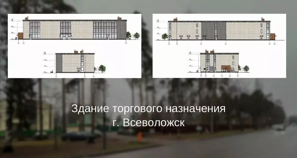 Помещение свободного назначения в Ленинградская область, Всеволожск ... - Фото 2