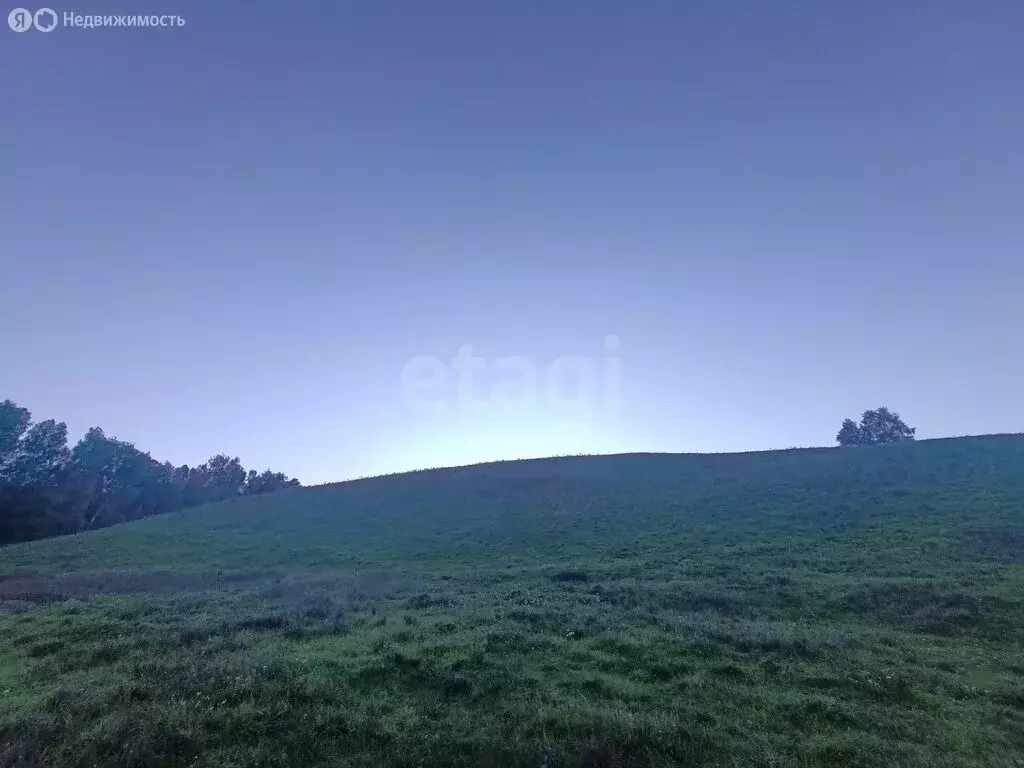Участок в Алтайский район, Айский сельсовет, село Ая (23 м) - Фото 2