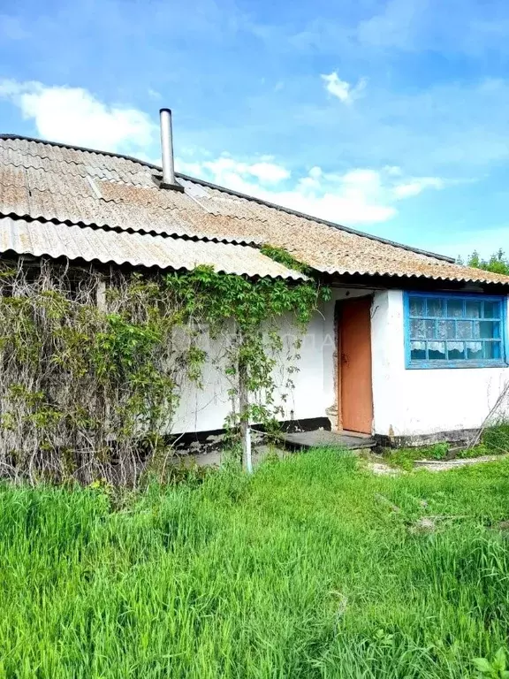 Дом в Алтайский край, Шипуновский район, Зеркальский сельсовет, с. ... - Фото 2