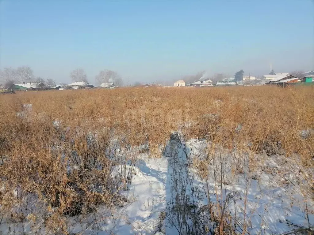 Участок в Забайкальский край, Нерчинск ул. Орджоникидзе (15.97 сот.) - Фото 2