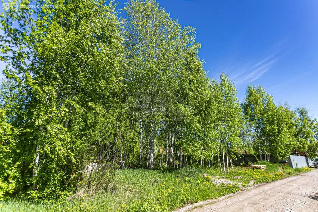 Участок в Искитимский район, Мичуринский сельсовет, СНТ Исток, ... - Фото 1