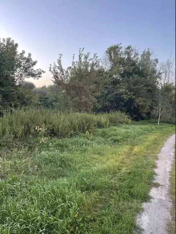 Участок в Челябинская область, Копейский городской округ, с. Калачево  ... - Фото 2