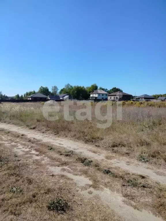 Участок в Брянская область, Брянский район, Новодарковичское с/пос, д. ... - Фото 1