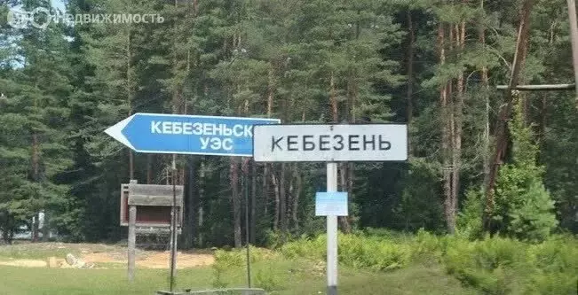 Участок в Турочакский район, село Старый Кебезень (17 м) - Фото 1