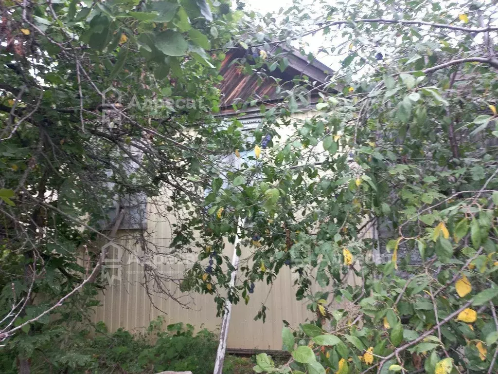 Купить Квартиру В Волгограде Городищенский Район