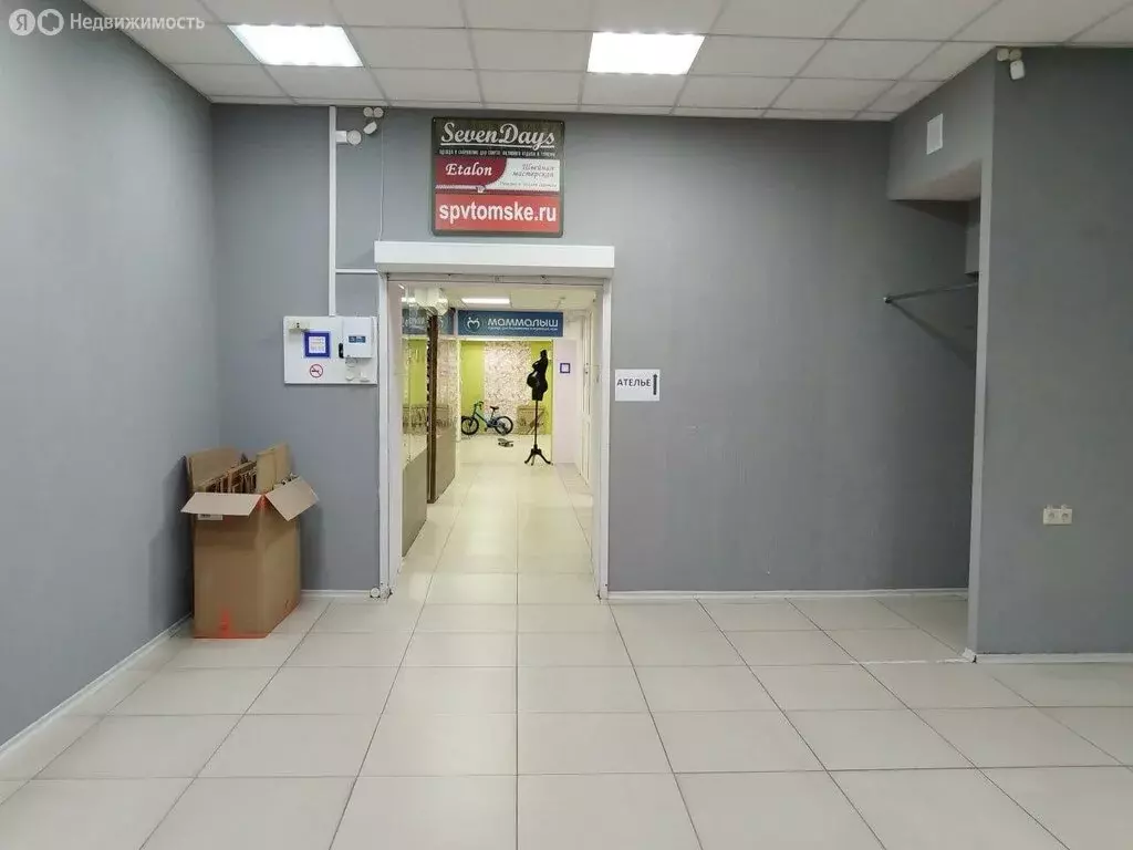 Торговая площадь (33.9 м) - Фото 1