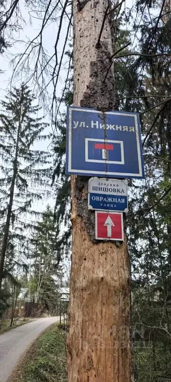 Помещение свободного назначения в Московская область, Солнечногорск ... - Фото 2