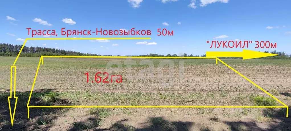 Участок в Брянская область, Дубровка рп  (160.0 сот.) - Фото 1