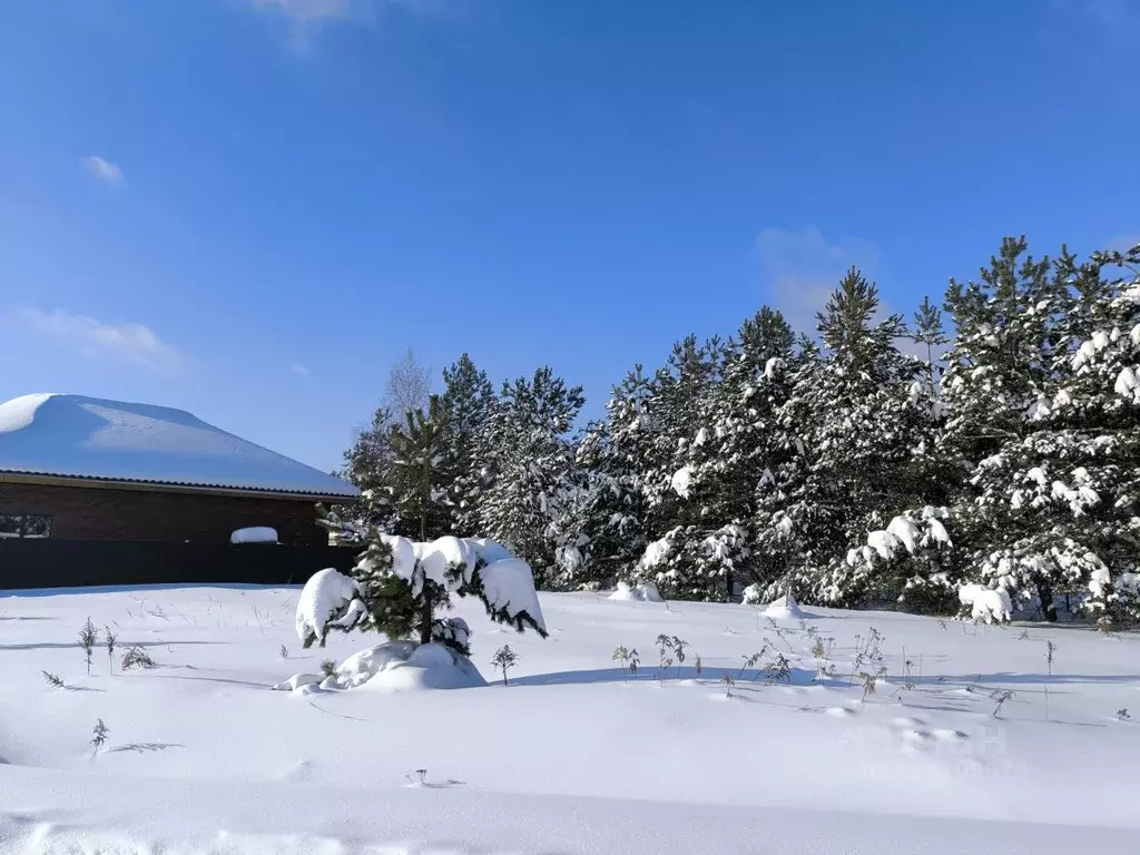 Участок в Московская область, Раменский муниципальный округ, д. ... - Фото 1