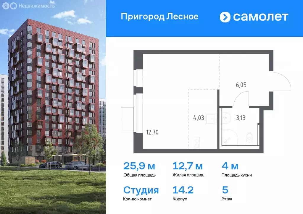 Квартира-студия: посёлок городского типа Мисайлово, микрорайон ... - Фото 0