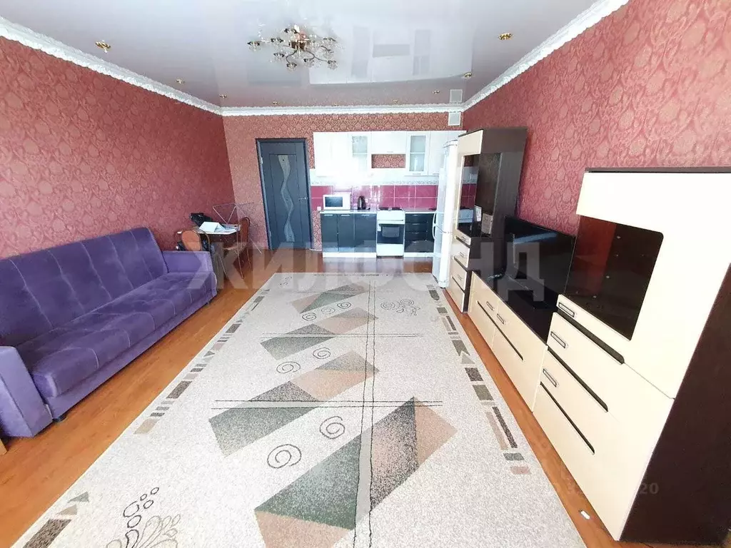 Студия Новосибирская область, Новосибирск ул. Виталия Потылицына, 1 ... - Фото 1