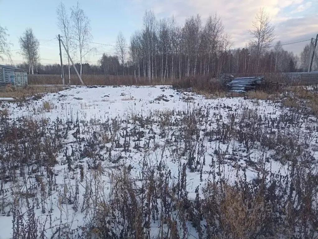Участок в Тюменская область, Тюмень Садовое товарищество Липовый ... - Фото 1