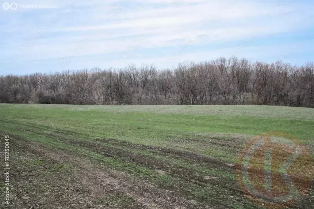 Участок в Сакский район, село Суворовское (17.45 м) - Фото 2