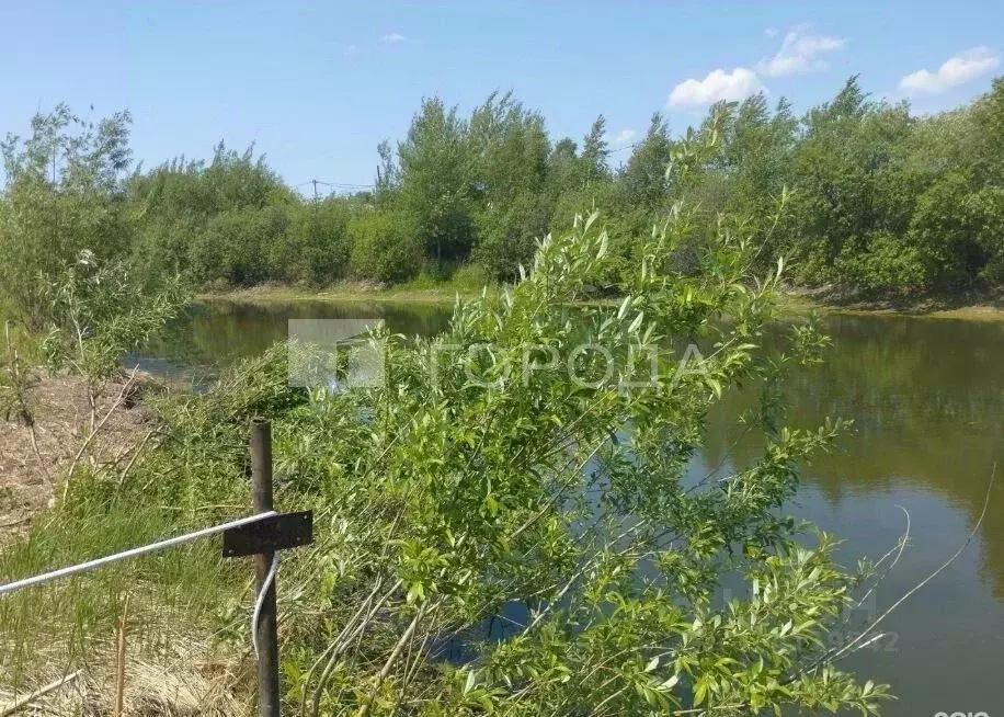 Участок в Новосибирская область, Новосибирский район, Толмачевский ... - Фото 1