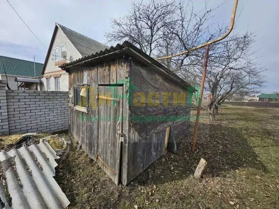 Участок в Белгородская область, Белгородский район, Веселолопанское ... - Фото 1