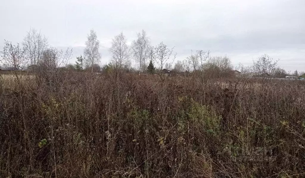 Участок в Московская область, Егорьевск муниципальный округ, д. ... - Фото 1