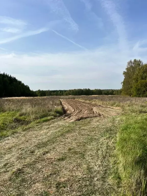 Участок в Московская область, Раменский муниципальный округ, Опушкино ... - Фото 2