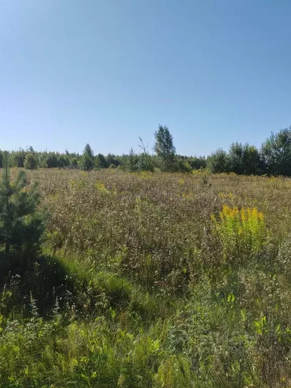 Участок в Новгородская область, Новгородский район, Бронницкое с/пос, ... - Фото 1