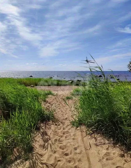 Участок в Санкт-Петербург пос. Молодежное,  (18.33 сот.) - Фото 1