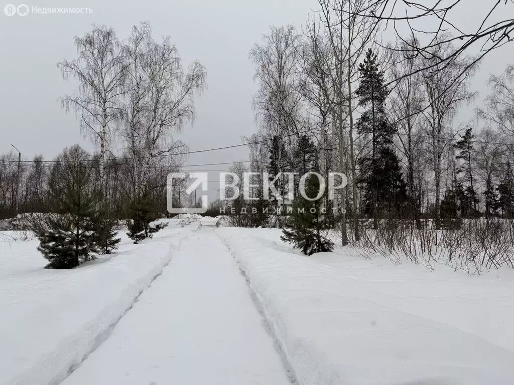 Участок в Ивановский муниципальный округ, деревня Кадниково, 2-я ... - Фото 1
